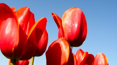 Spring GetAway Specials - SAVE