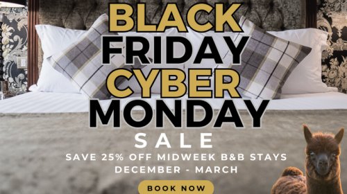 Black Friday & Cyber Monday Sale 2025