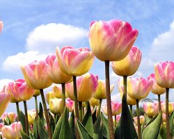 Treat yourself to a GetAway Escape + Retail Therapy at nearby Kildare Village this Spring/Easter! 