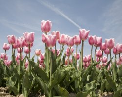 SPRING OFFERS! Shackleton Experience B&B, GetAways for 1 & 2 Nights, Midweek Specials + Easter School Holiday Breaks